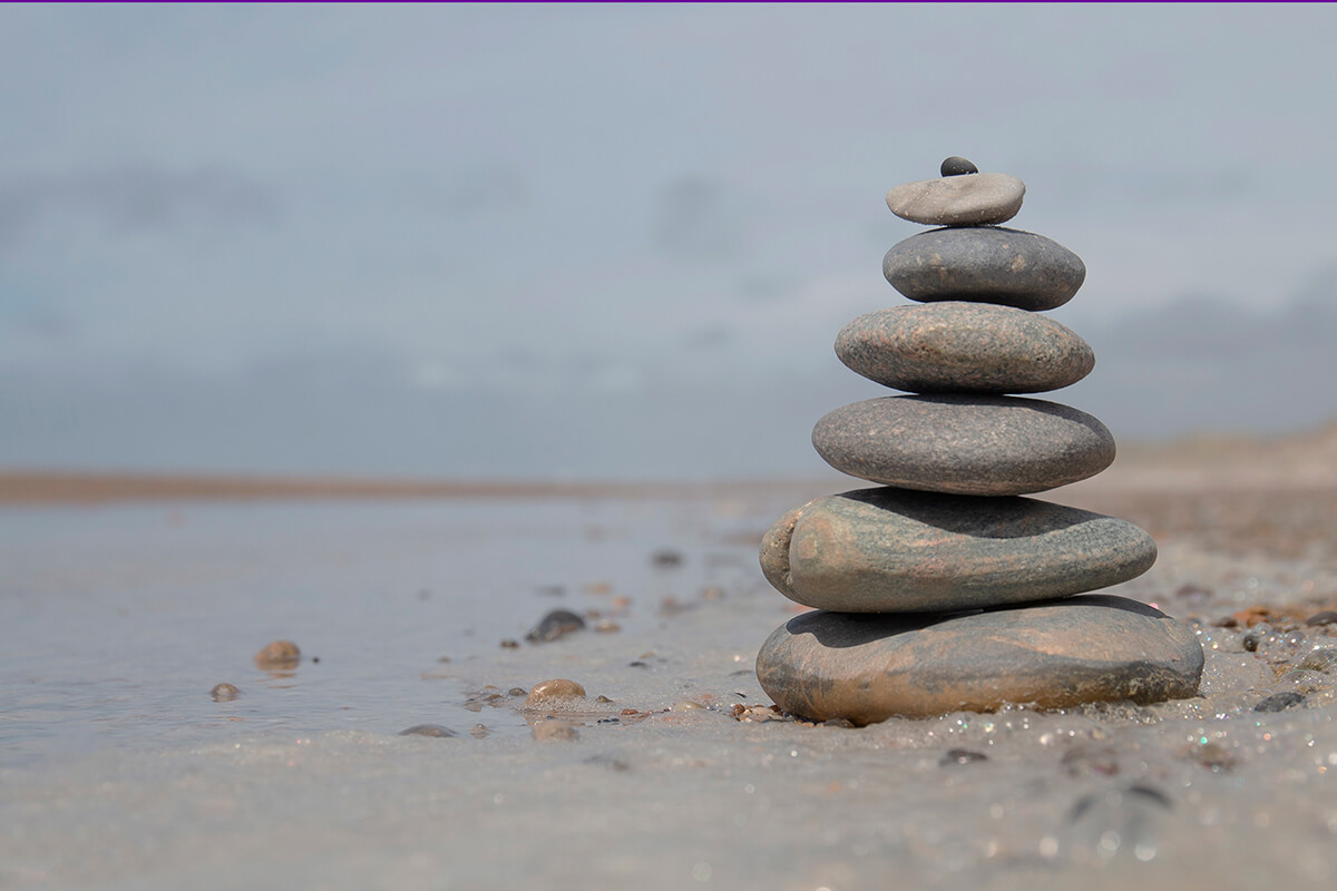 Leia mais sobre o artigo Da Sobrevivência à Sustentabilidade