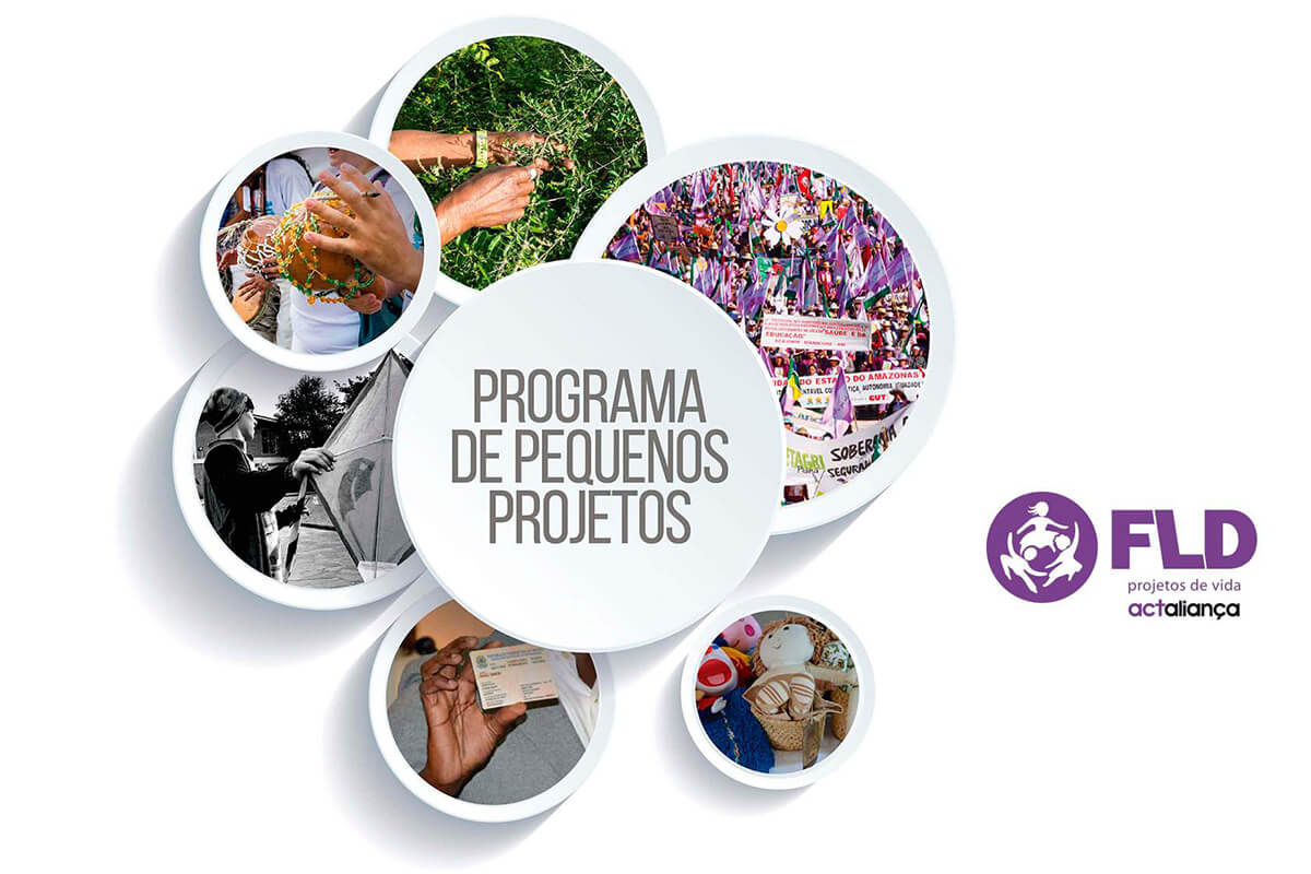 Leia mais sobre o artigo Diversificação de Fontes de Financiamento – Fundação Luterana de Diaconia – FLD