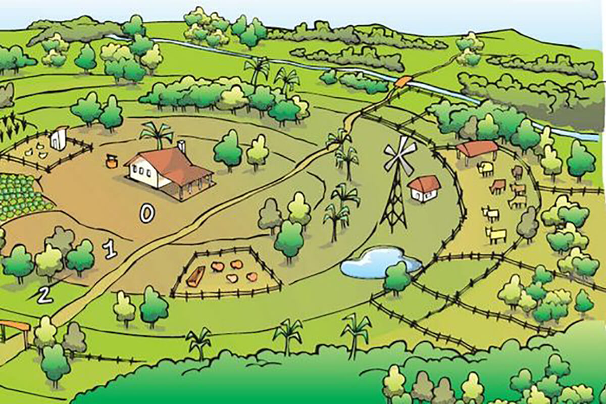 Leia mais sobre o artigo Escassez? Permacultura como inspiração para organizações